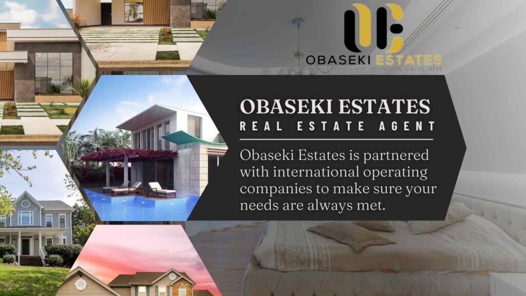 Maintenance Services - Obaseki Estates