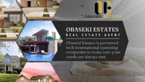 Maintenance Services – Obaseki Estates